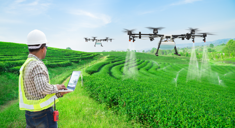 Indian Farmers Are Using AI: How emerging technologies are helping farmers in India to increase productivity, reduce wastage, and access markets.

