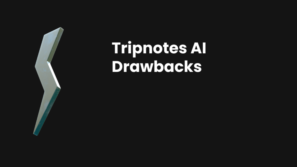 Tripnotes AI Drawbacks